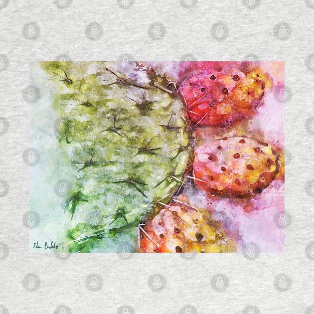 Colorful Cactus Fruit - Digital Watercolor by ibadishi